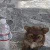 UHK Vlogs