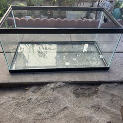 Tank 