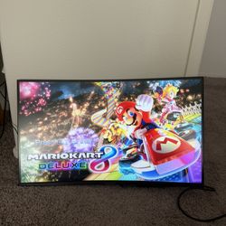 Computer Monitor 
