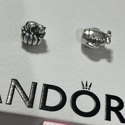 Pandora Charms 