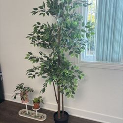 Tall Faux Plant , Artificial Tree