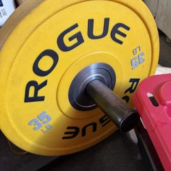 35lbs Rouge Plates 