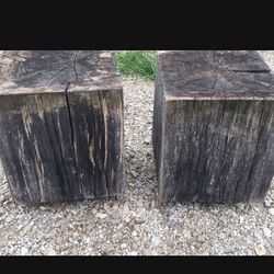 Tree Stump Stools - heavy In