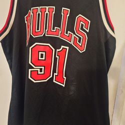 Vintage Rodman Champion Jersey 