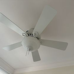 Hunter Fan I Have 2