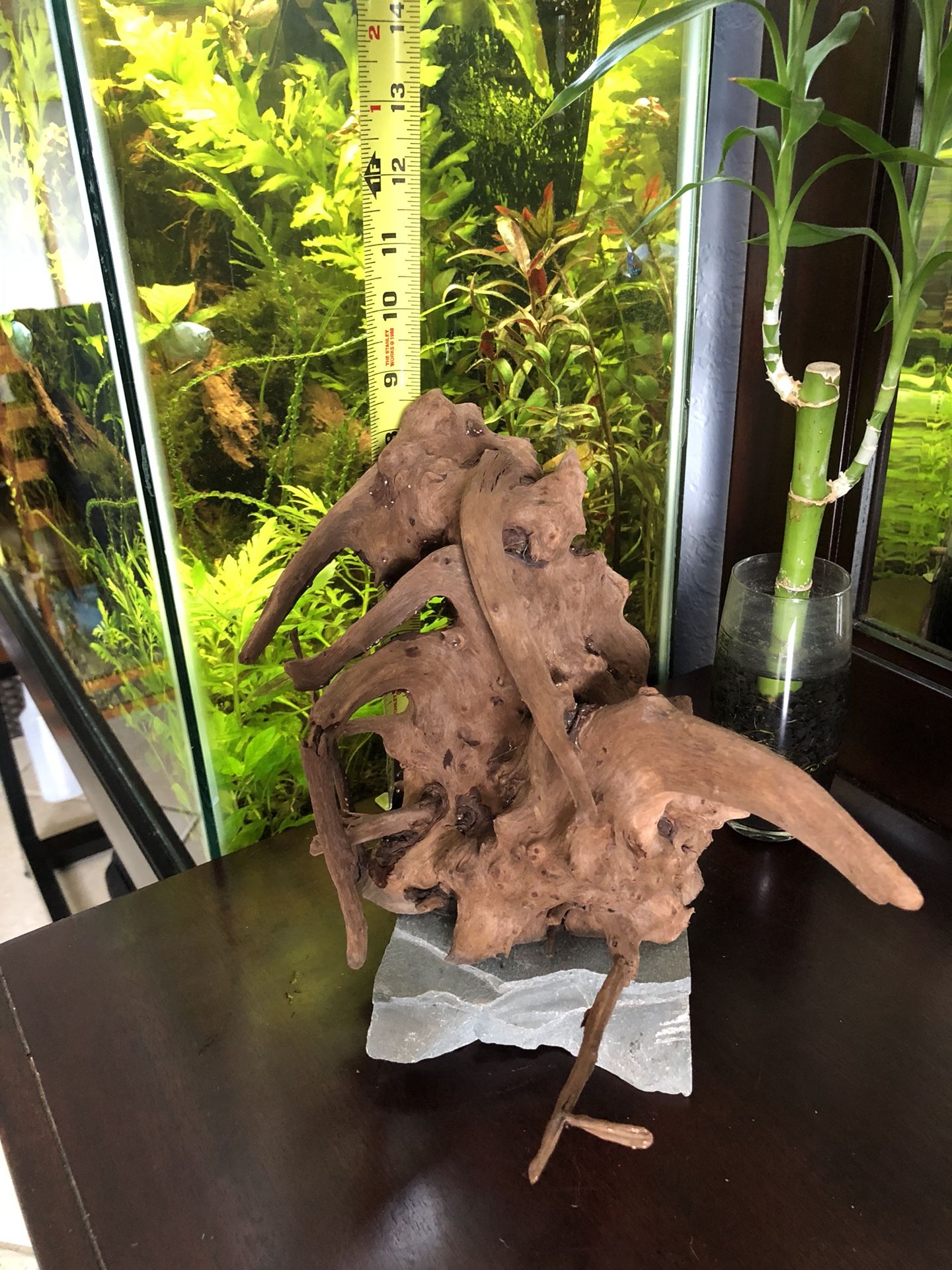 Mounted Aquarium Driftwood Piece