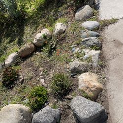 Large Rocks