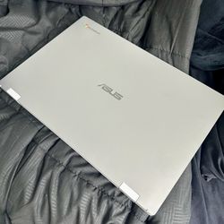 ASUS - 17.3" Chromebook Laptop