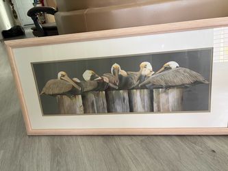 Pelican art