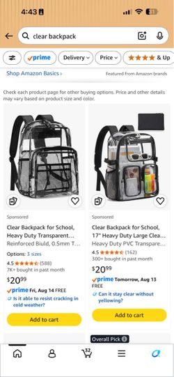 Clear backpack