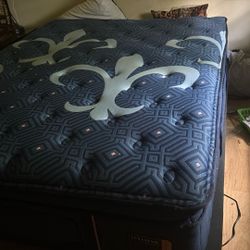 Electric Bed 