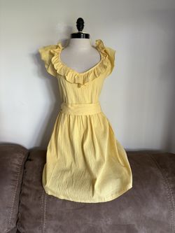 NEW Francesca’s Small Dress