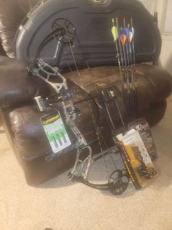 2016  Bear compound bowl(marshall)