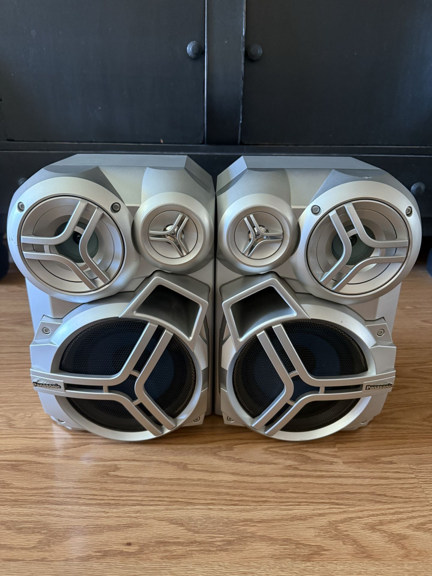 Panasonic Speaker System (Speakers Only) 