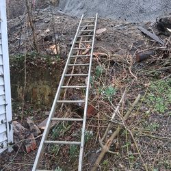 About 20 Feet Ladder 