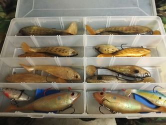 12 Storm wild eye swimbaits and 2 I've target