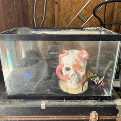 Fish Tank/terrarium 