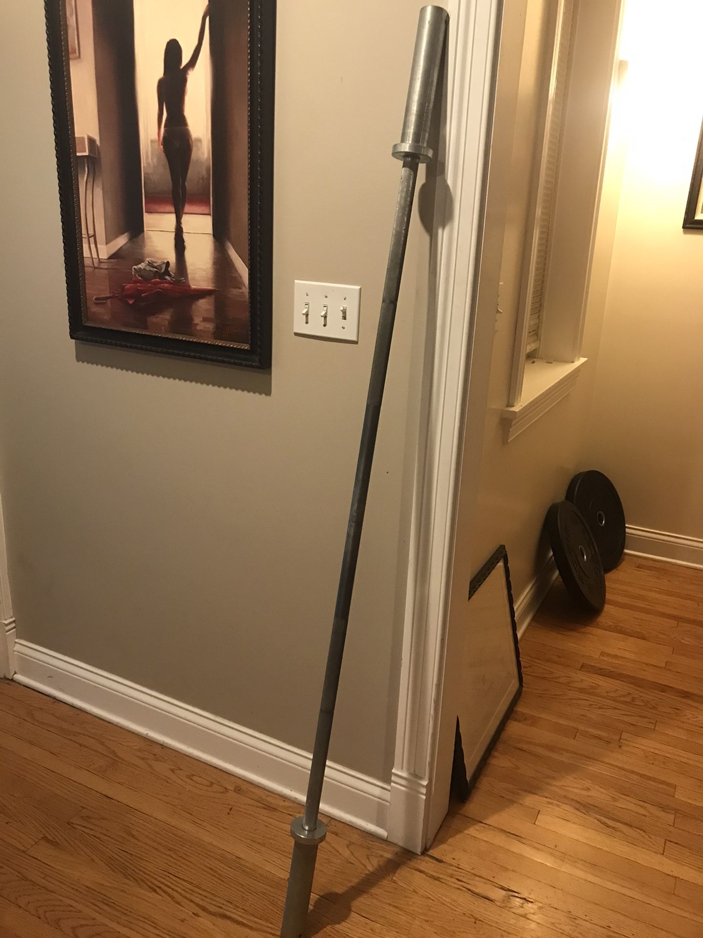 Olympic 6ft Aluminum Technique bar
