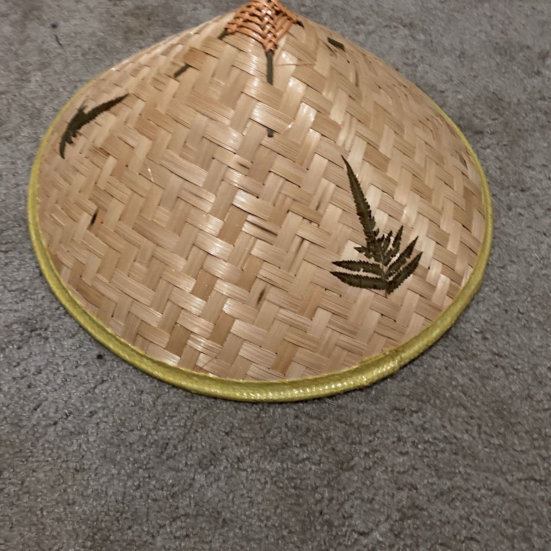 Asian Conical Hat