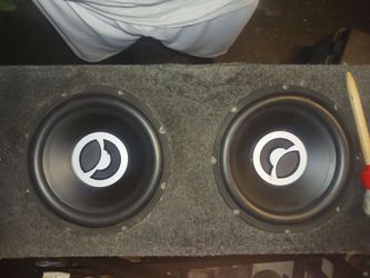 Two 10-in bazooka subwoofers in box