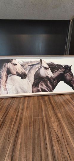 Horse frame