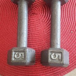 A Pair Of 5 Pound  Weights....