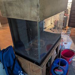 80 gallon fish tank for sale 
