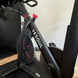 Yesoul Screen Exercise Bike 