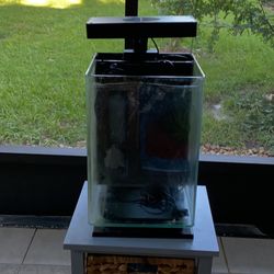 5 Gallon Saltwater Setup