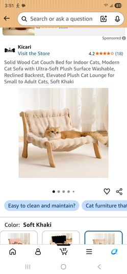 Cat couch bed