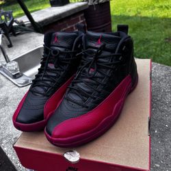 Jordan 12 Flu game