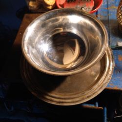 Real Silver Bowl And Plant