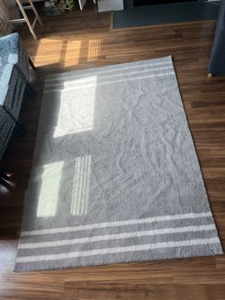 5'x7' Area Rug