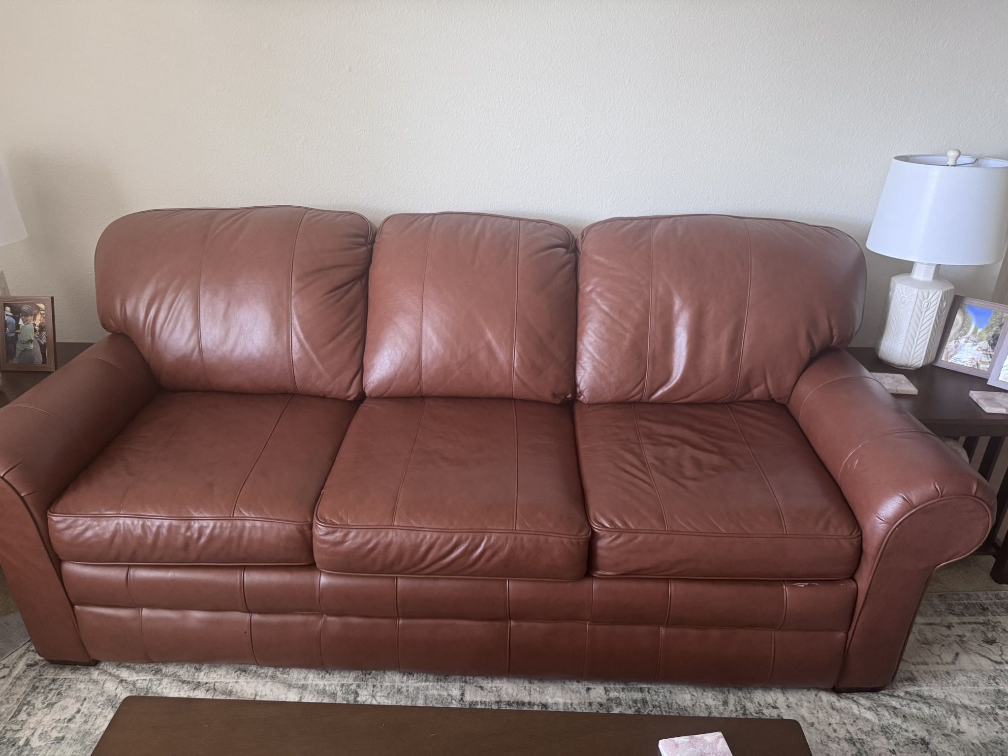 Leather Sleeper Sofa