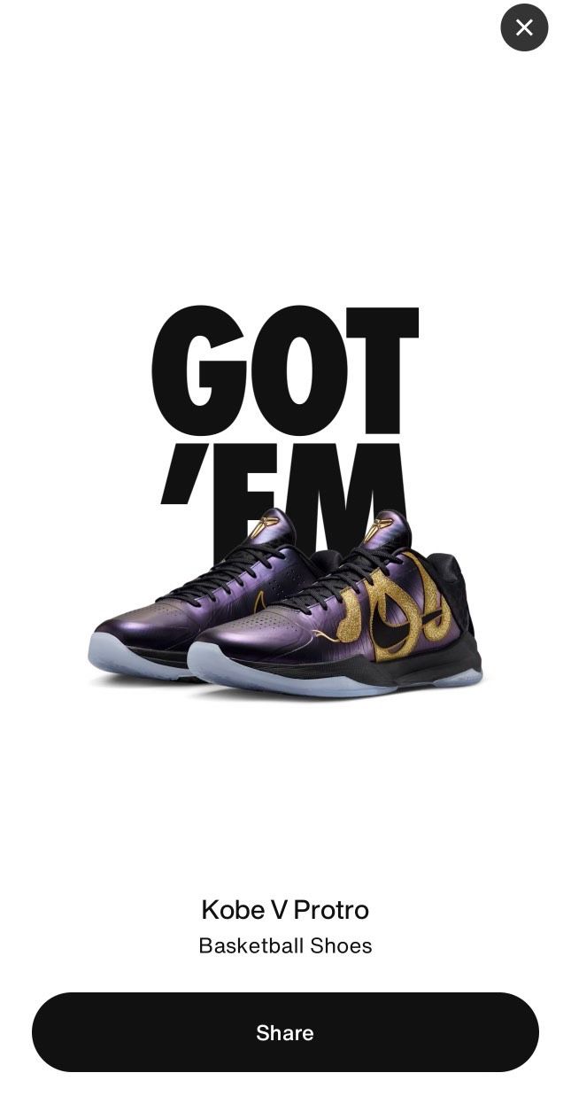Nike Kobe Protro Year of the Mamba Eggplant IB4481 500 Brand New