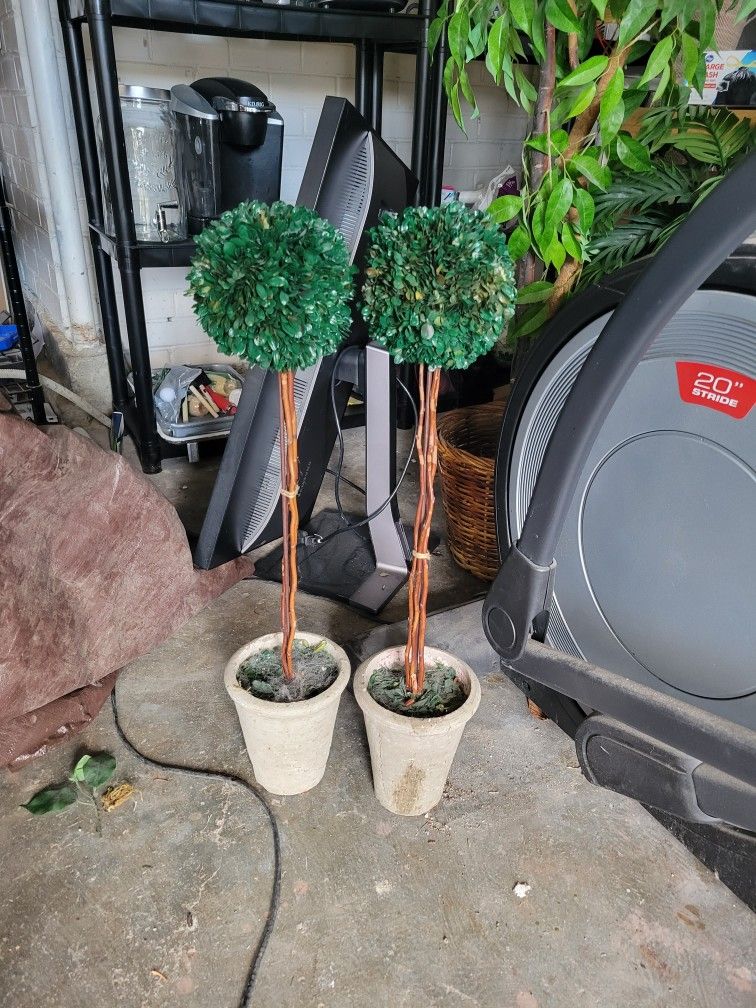 Small Fake Plants for Sale in Seattle, WA OfferUp