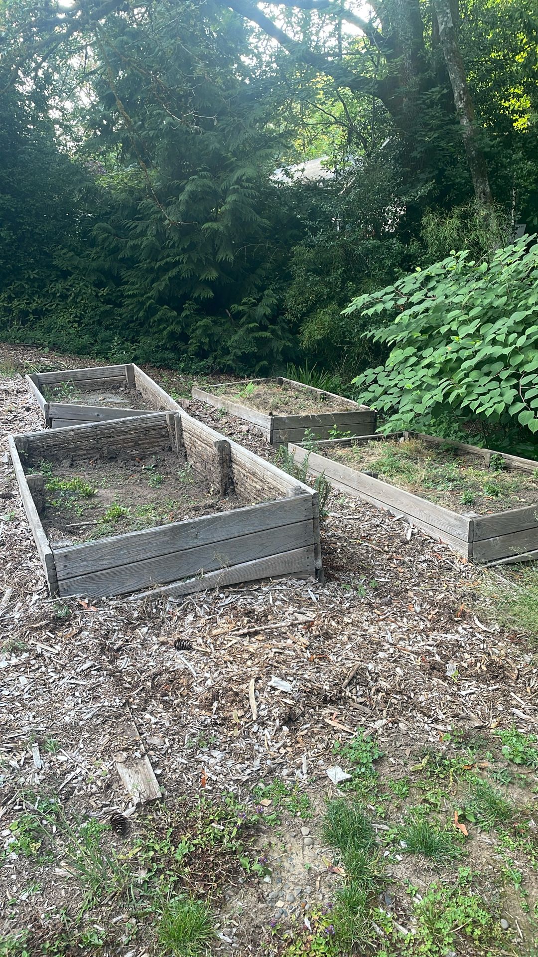 Free! Wooden Raised Beds