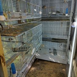 Jaulas Disponibles Para Boladeras 