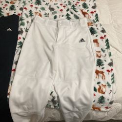 Baseball Pants 
