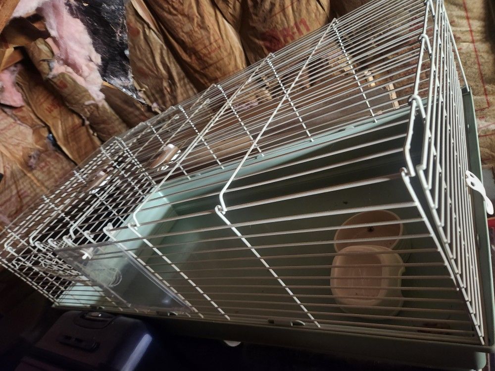 Guinea Pig Cage