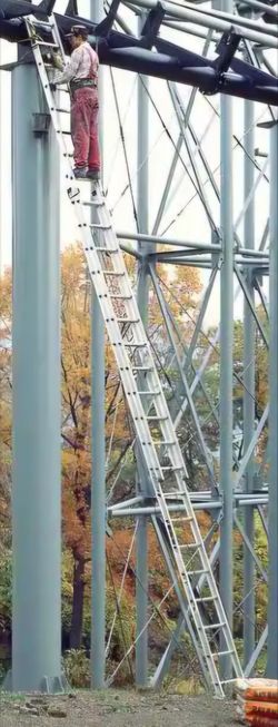 Werner 24 Ft Aluminum Extension Ladder