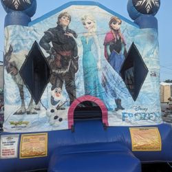 Bouncer 11 By 10 Frozen 