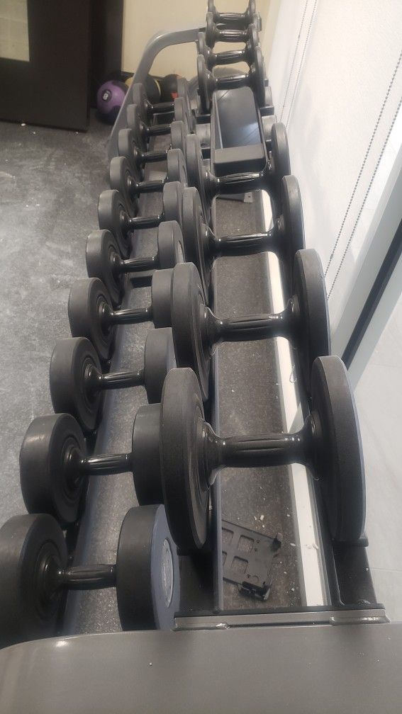 Dumbbell Rack (Rack Only )