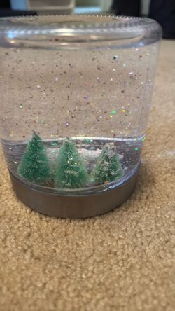 Cool winter globe