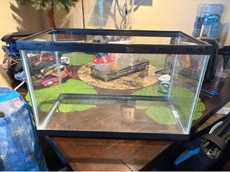 20in x 10 1/4in tank
