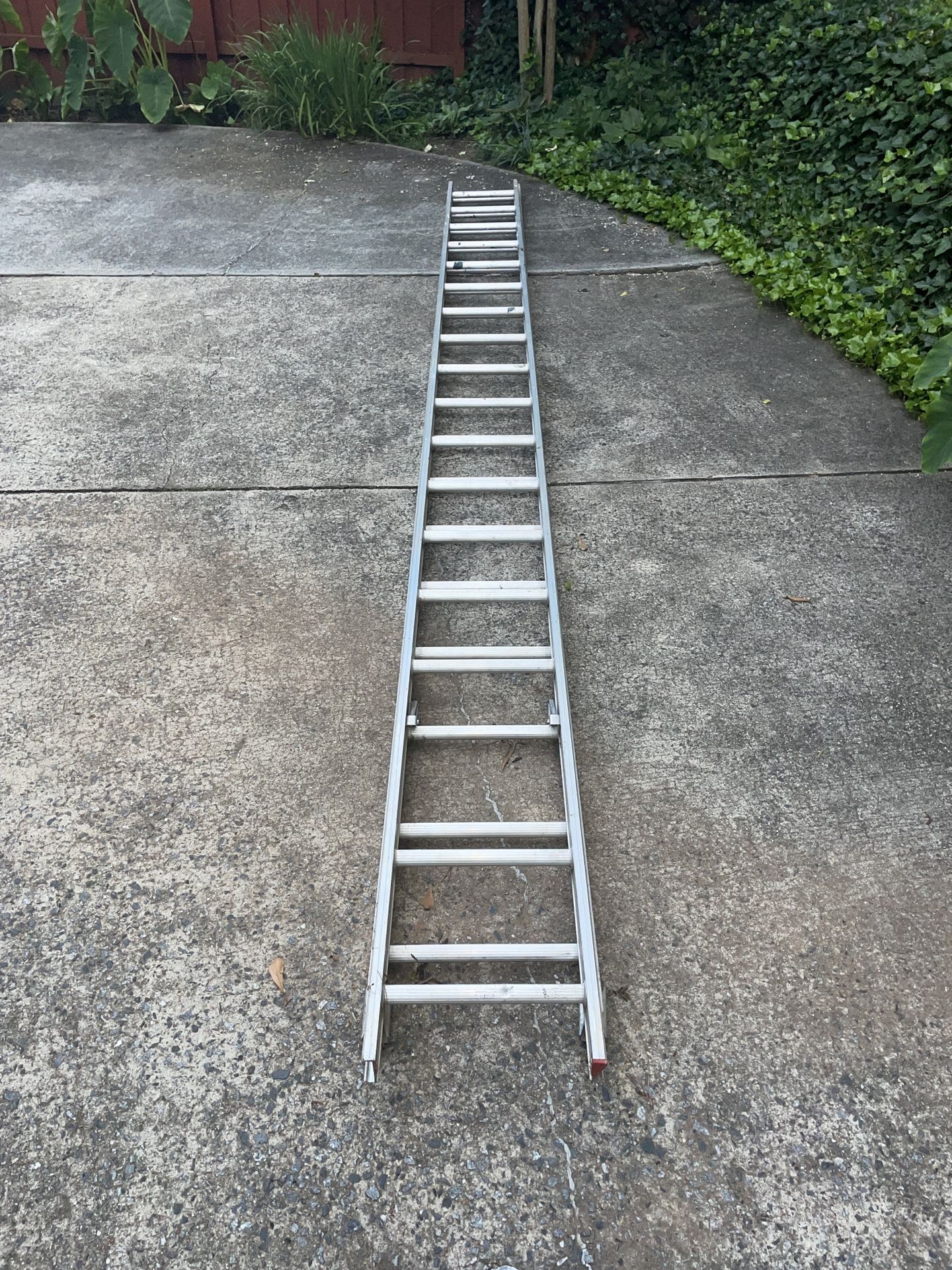 Werner Sad-t Master Model-D-1136 36’ Ladder