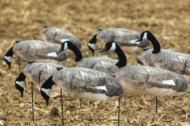 CANADA GOOSE Decoys WINDSOCKS