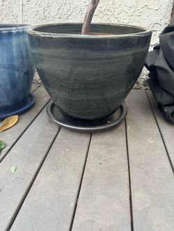 Ceramic Planters (3)