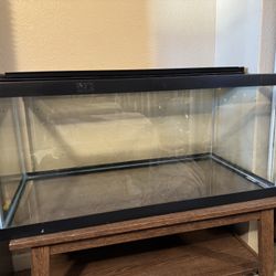 40 Gallon tank