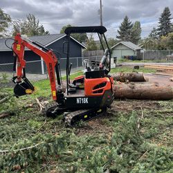 NT18K Mini Excavator, KUBOTA Diesel Engine